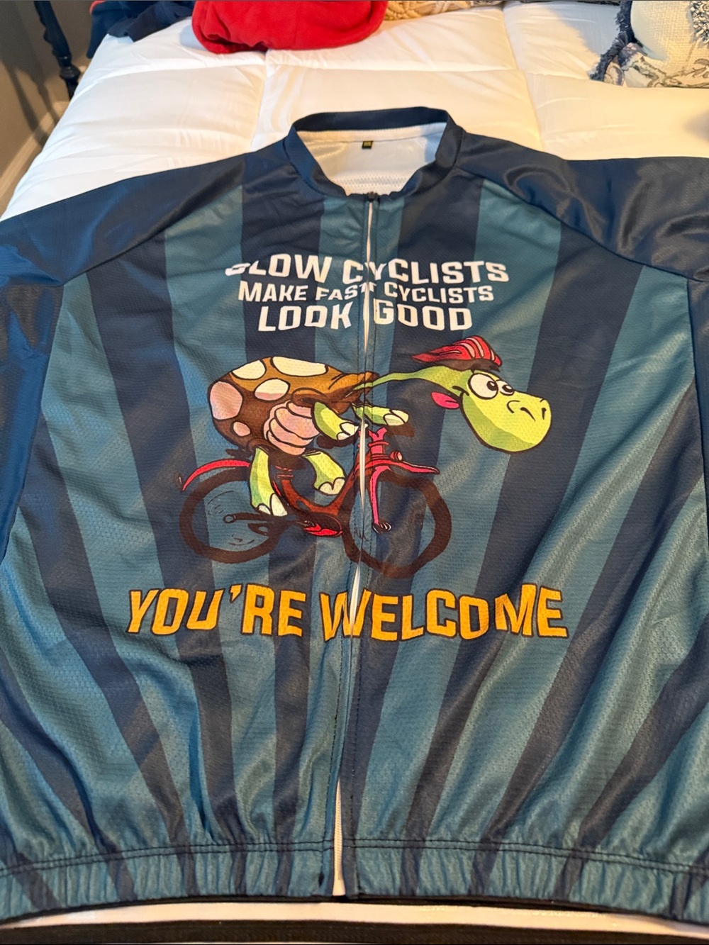 Funny Turtle Cycling Jersey in Teal and Navy